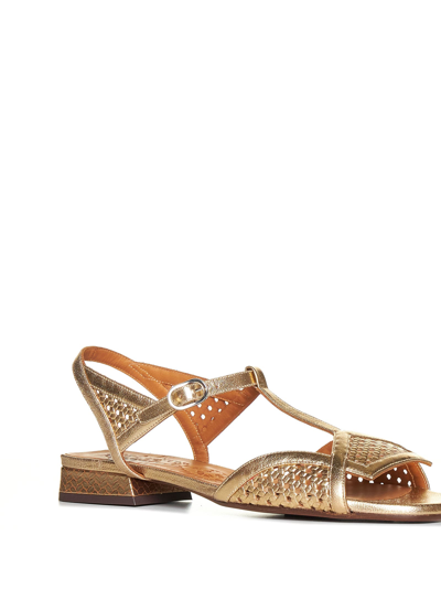 Shop Chie Mihara Sandals In Dali Champan Ford Bronce