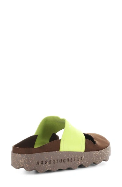 Asportuguesas Cana Slide Sandal In 000 Brown On Micro S