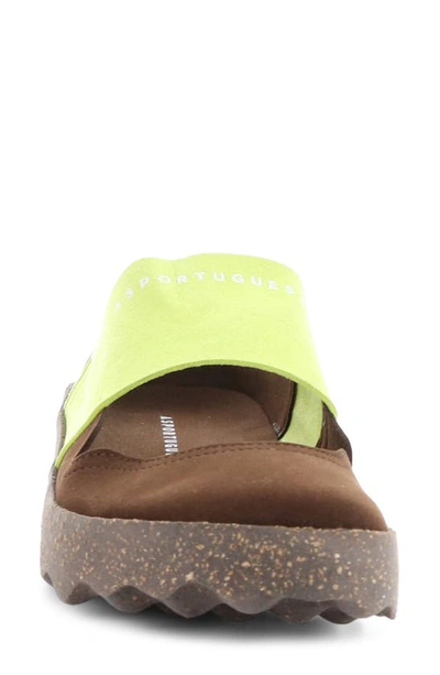 Asportuguesas Cana Slide Sandal In 000 Brown On Micro S