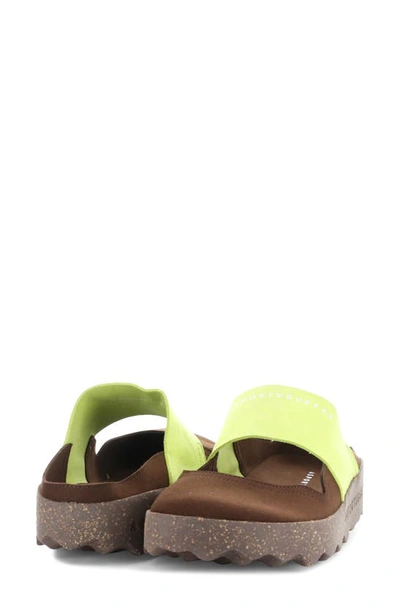 Asportuguesas Cana Slide Sandal In 000 Brown On Micro S