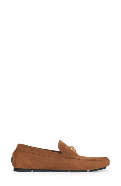 Shop Versace Medusa Driving Shoe In Dark Toffee  Gold