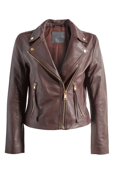 Shop Allsaints Dalby Leather Moto Jacket In Oxblood Red