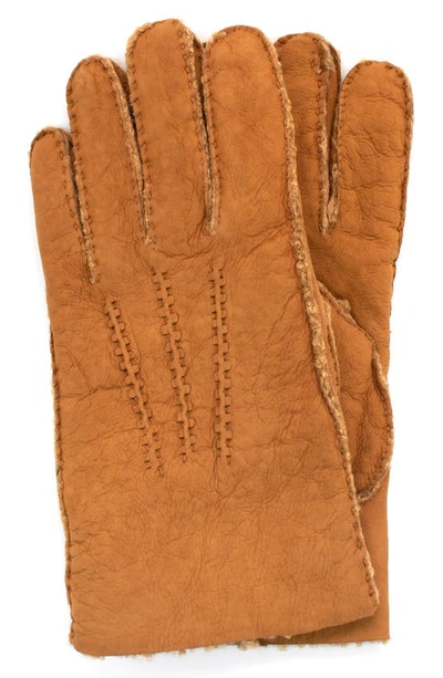 Portolano Genuine Shearling Leather Gloves In Chestnut