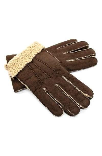 Portolano Genuine Shearling Leather Gloves In Chocolate/ White