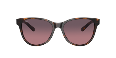 Shop Costa Woman Sunglass 6s2012 Catherine In Rose Gradient