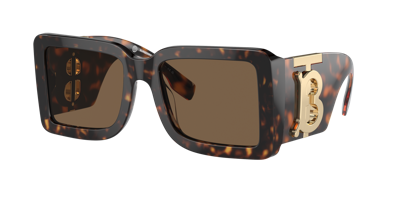Burberry Square Acetate Sunglasses In Brown