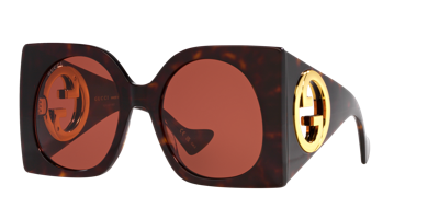 Gucci Gg1254s Havana Sunglasses In Red