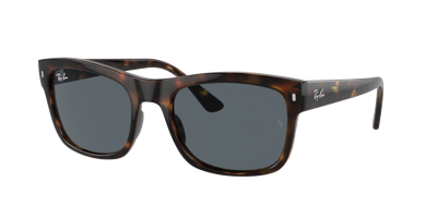 Ray Ban Ray In Blue