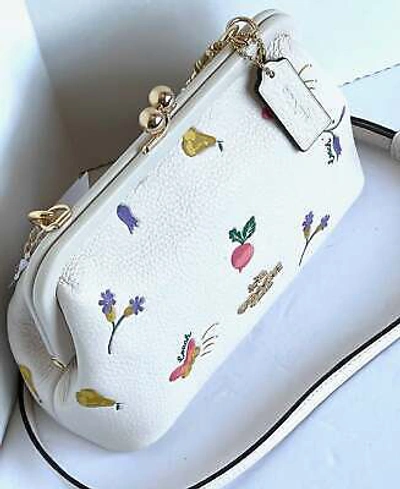 Pre-owned Coach Nora Kisslock Crossbody Womens Leather White Garden Print C8335