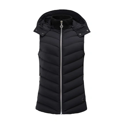 Shop Moose Knuckles Roswell Hybrid Vest In Noir