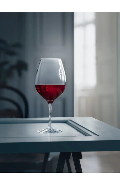 Orrefors More Wine Xl Set Of
