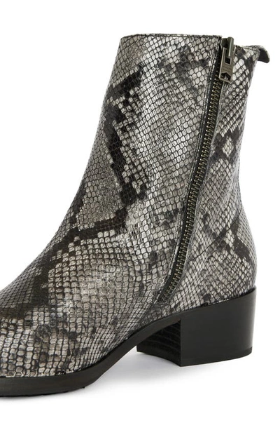 Shop Allsaints Bonham Snake Pattern Zip Boot In Dark Grey