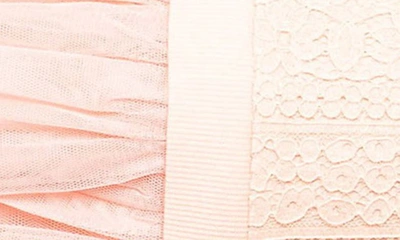 Shop Popatu Long Sleeve Lace & Tulle Dress In Peach