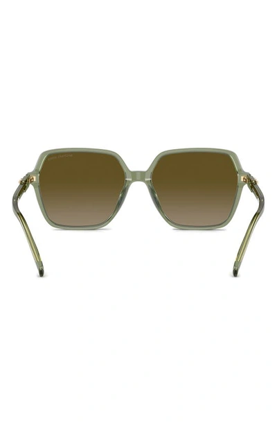 Shop Michael Kors Jasper 58mm Square Sunglasses In Green Havana