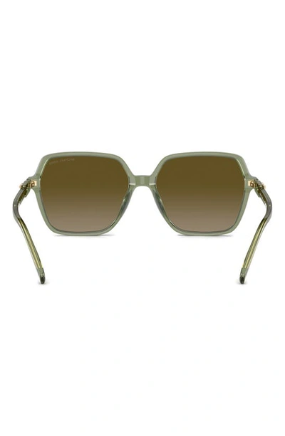 Michael Kors Jasper 58mm Square Sunglasses In Green Havana