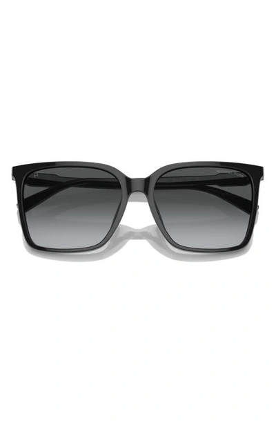 Michael Kors Canberra 56mm Polarized Square Sunglasses In Black