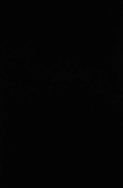 Rails Gilda Chiffon Velvet Maxi Dress In Black Velvet