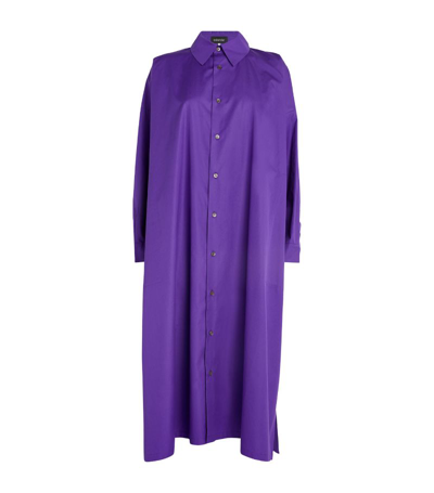 Shop Eskandar A-line Shirt Dress In Purple