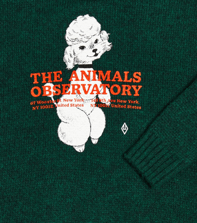 The Animals Observatory Bull Knit Sweater In Green