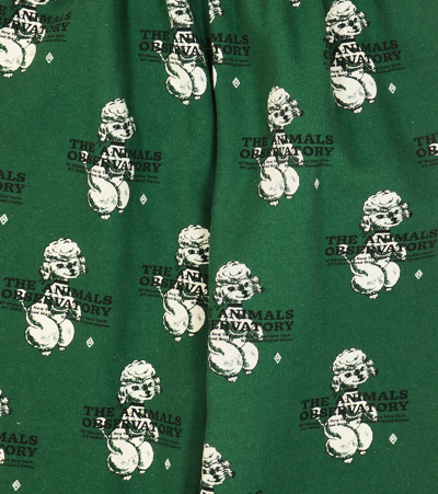 The Animals Observatory Cameleon Cotton Sweatpants In Green