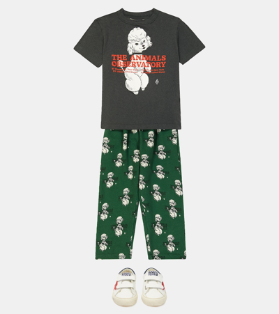 The Animals Observatory Cameleon Cotton Sweatpants In Green