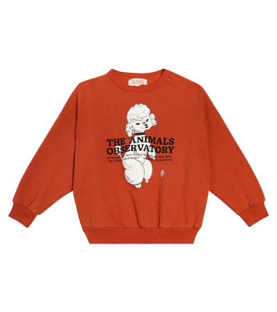 Shop The Animals Observatory Big Bear Printed Cotton Sweatshirt In Red