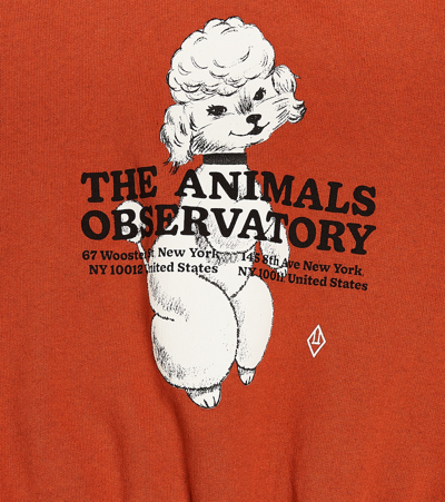 The Animals Observatory Big Bear Printed Cotton Sweatshirt In Red