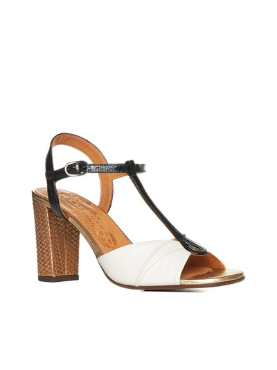 Chie Mihara Sandals In Softylecheferrarinegrodalicham