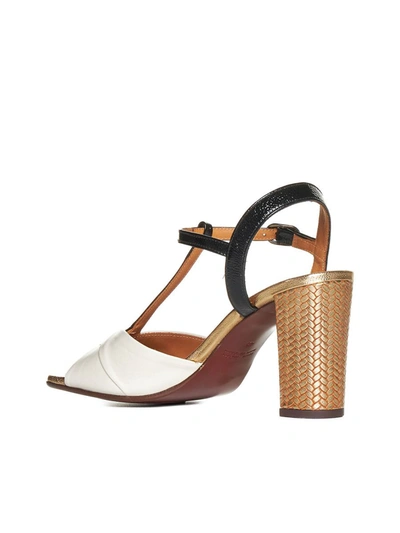 Shop Chie Mihara Sandals In Softylecheferrarinegrodalicham