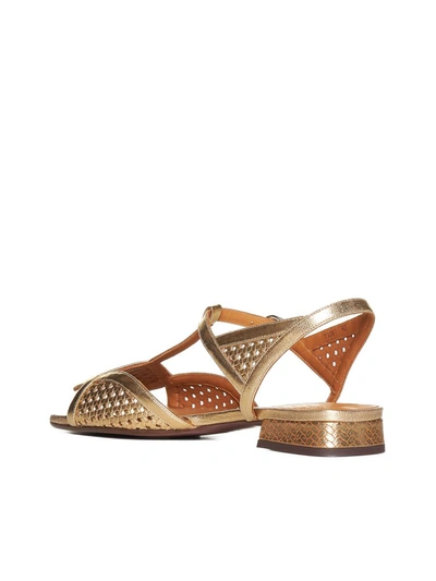 Shop Chie Mihara Sandals In Dali Champan Ford Bronce