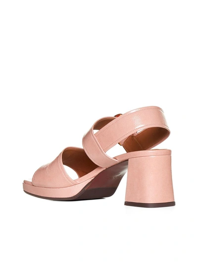 Shop Chie Mihara Sandals In Ferrari Pink