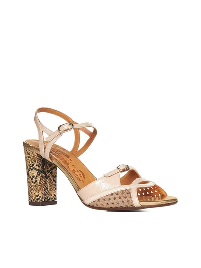 Shop Chie Mihara Sandals In Ferrarisandantetoast