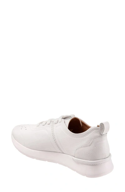 Shop Softwalk ® Stella Sneaker In White