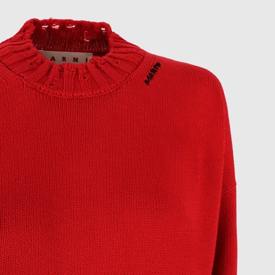Shop Marni Distressed Cropped Sweater In Red