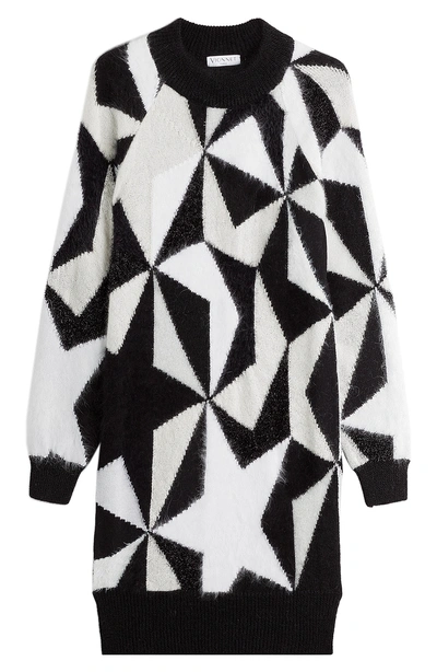 Vionnet Sweater Dress With Mohair, Angora And Cashmere In Multicolored