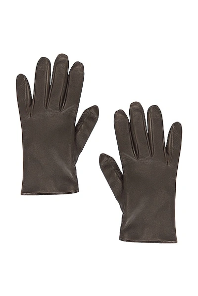 Shop Saint Laurent Leather Gloves In Khaki & Gold