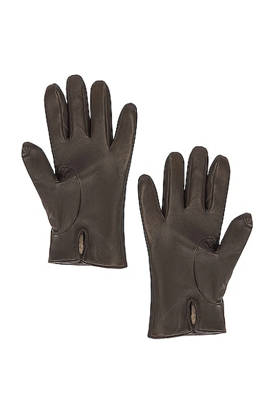 Shop Saint Laurent Leather Gloves In Khaki & Gold