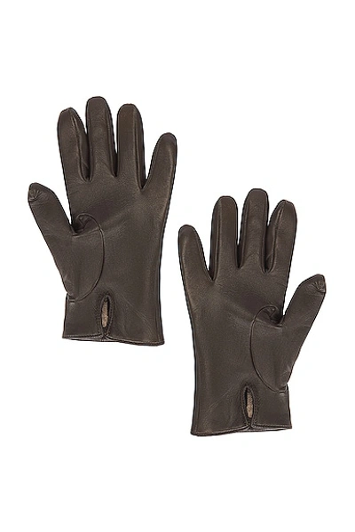 Saint Laurent Leather Gloves In Khaki & Gold