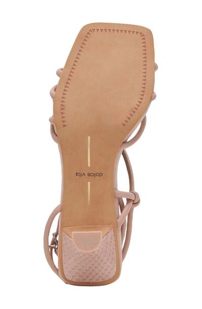 Shop Dolce Vita Bev Kitten Heel Ankle Strap Sandal In Rose Leather