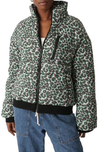 Shop Electric & Rose Electric Leopard Puffer Jacket In Green/ Multi