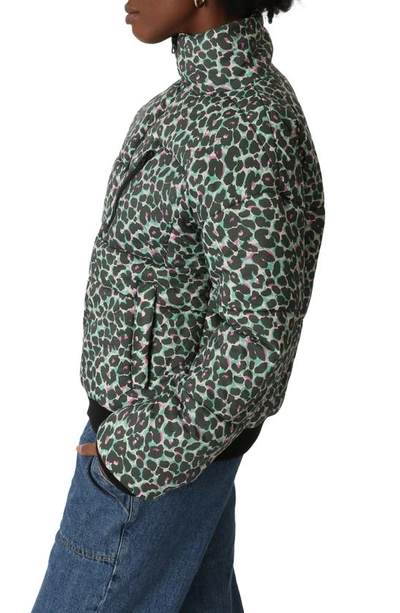 Shop Electric & Rose Electric Leopard Puffer Jacket In Green/ Multi