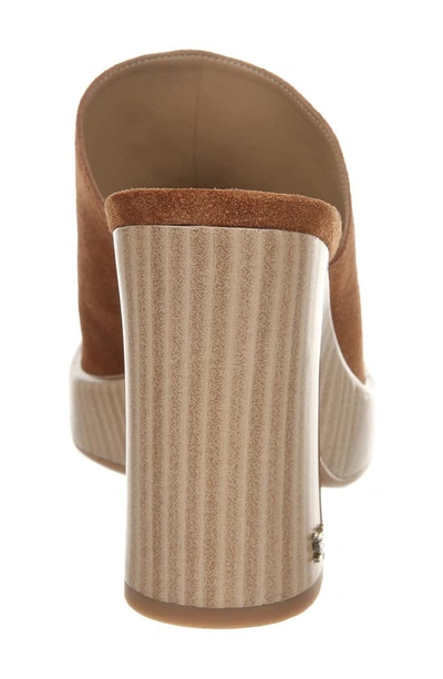 Sam Edelman Shiloh Leather Heel Mule In Frontier Brown