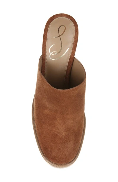 Shop Sam Edelman Shiloh Leather Heel Mule In Frontier Brown