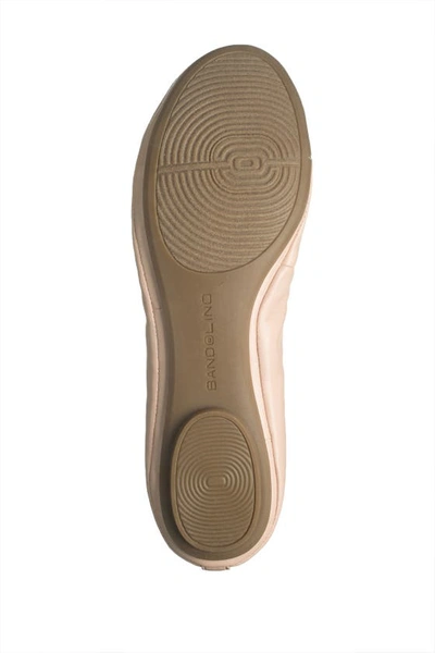 Shop Bandolino Edition Ballet Flat In Light Nude Leather