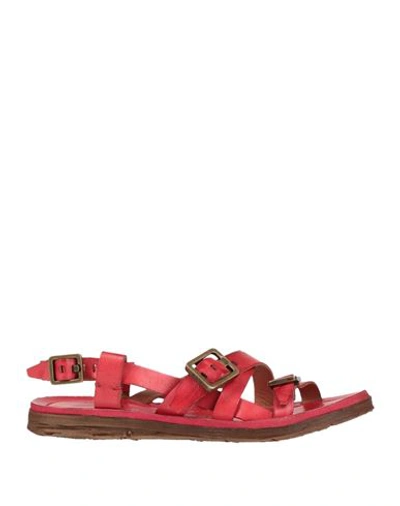 Shop As98 A. S.98 Woman Sandals Red Size 7 Soft Leather