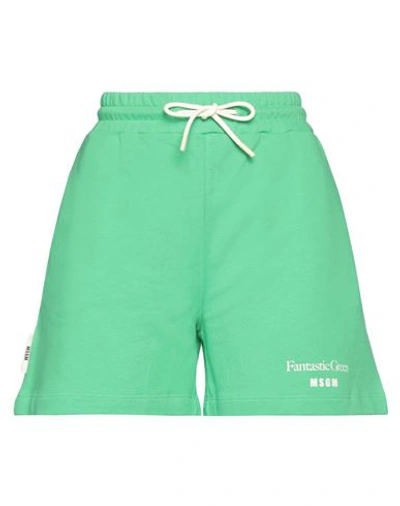 Shop Msgm Woman Shorts & Bermuda Shorts Green Size L Organic Cotton