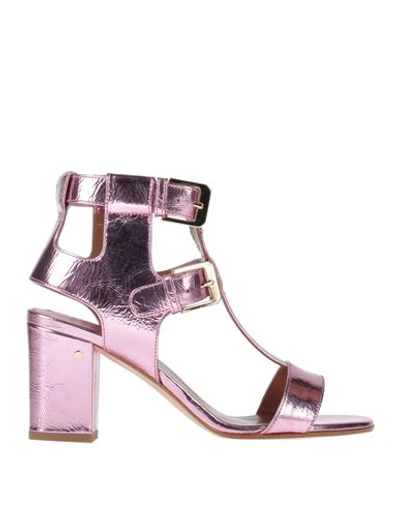 Shop Laurence Dacade Woman Sandals Pink Size 7.5 Calfskin