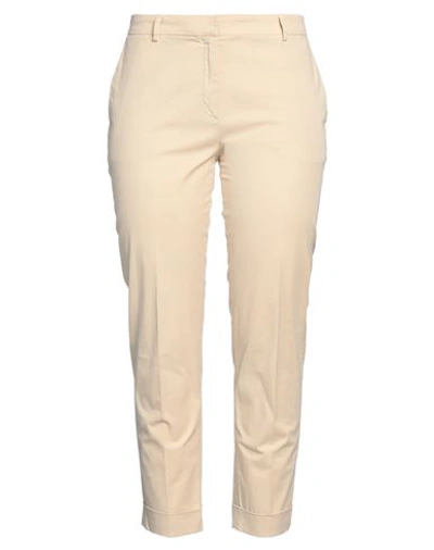 Shop Antonelli Woman Pants Sand Size 14 Cotton, Elastane In Beige