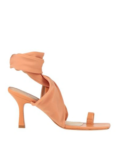 Shop Carrano Woman Thong Sandal Apricot Size 7 Soft Leather, Textile Fibers In Orange