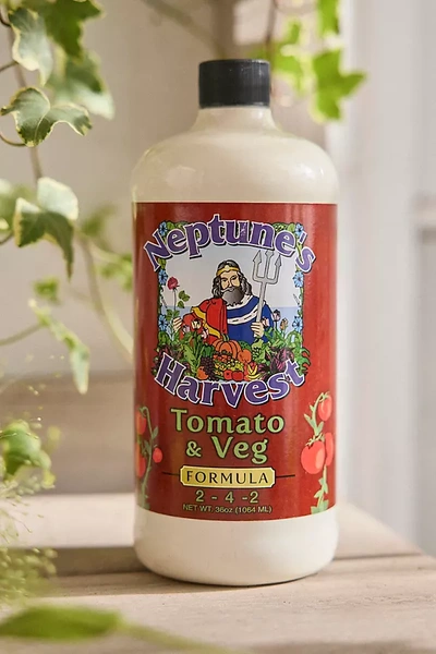 Shop Terrain Neptune's Harvest Tomato & Vegetable Fertilizer Concentrate